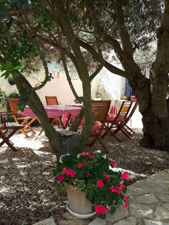 La Vigne Des Heures Claires Saint-Nazaire-d'Aude Экстерьер фото